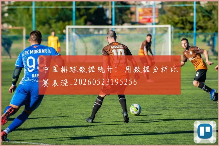 中国排球数据统计：用数据分析比赛表现_20260523195256