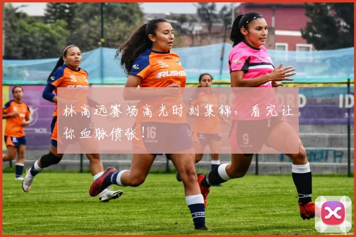 林高远赛场高光时刻集锦，看完让你血脉偾张！